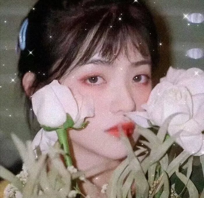 沧海无情 在线观看